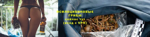 стафф Белокуриха