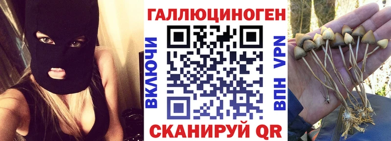 blacksprut зеркало  цены наркотик  Сланцы  Галлюциногенные грибы GOLDEN TEACHER 